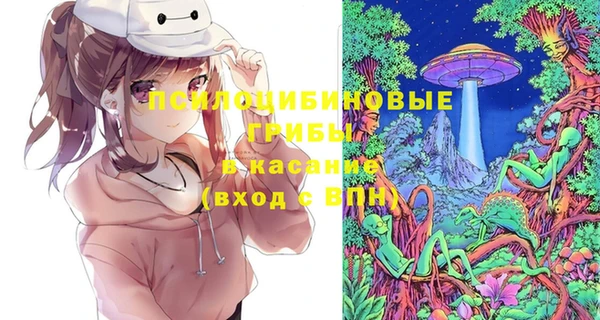 тгк Алзамай